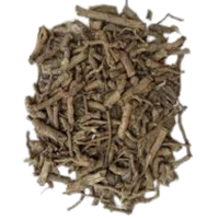Rasna