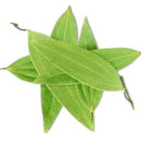 Tailpatra Oil
