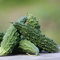 Karela