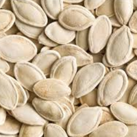 Pumpkin Seed