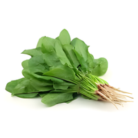 Palak