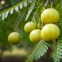 Amla