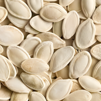 Pumpkin Seed