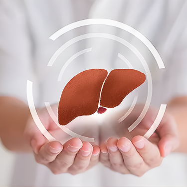 Liver Care