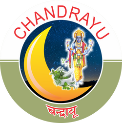 CHANDRAYAN HERBAL & FOOD