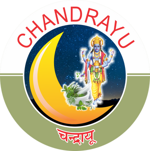 CHANDRAYAN HERBAL & FOOD