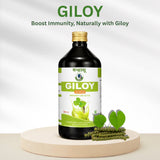 GILOY