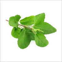 Tulsi Patra